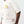 True Religion T-Shirt Ss Multi Logo Boxy Winter White