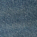 True Religion Jeans Carpenter Bobbi Baggy Globe Trek W/ Destroy
