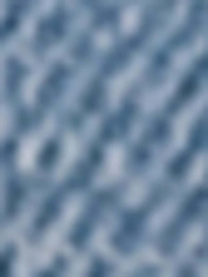 True Religion Sammy Shorts Mid Rise Big T Light Wash-True Religion